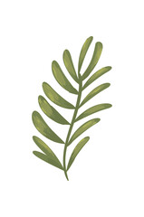 green leaves isolated vector design