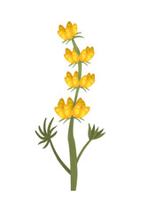 yellow flower isolated vector design
