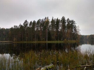 Deep forest in Europe with river and lake