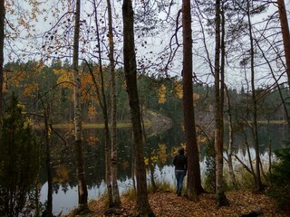 Deep forest in Europe with river and lake