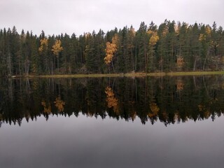Deep forest in Europe with river and lake