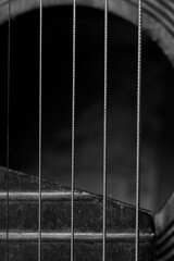 black and white close up photo of an old guitar. Macro photo of guitar strings.
