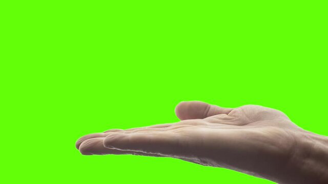 Palm of the hand facing up on green background