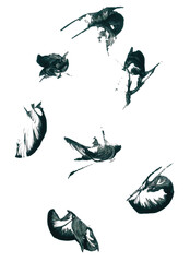 Abstract graceful elements similar to butterfly wings or silhouettes of birds