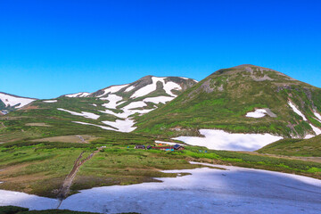 夏の大雪山