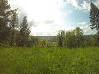 Deep forest in Europe with river and lake