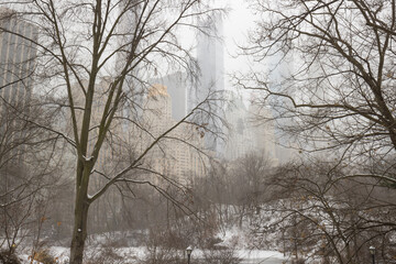Central Park in New York City in snow