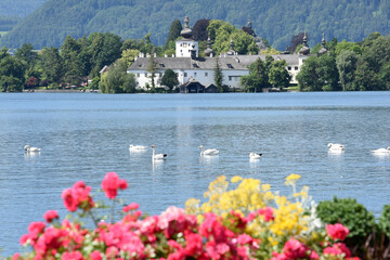 The Lake castle Ort on Traunsee in Gmunden with flowers and swans, Salzkammergut, District Gmunden,...