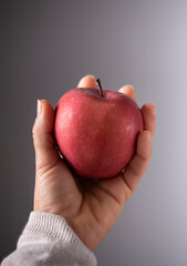 apple photography held by hand
