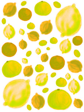 Digital illustration of colorful citrus fruit
