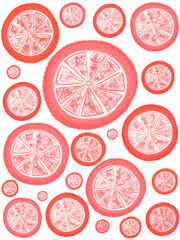 Digital illustration of colorful citrus slices