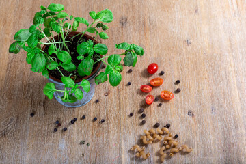 Rustikales essen basilikum pfefferkörner tomaten pasta nudeln auf holztisch