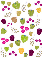 Digital illustration wallpaper of colorful berries with stems