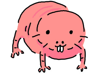 ハダカデバネズミ