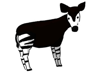 オカピ © Atsushi Yokosawa