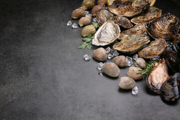 Shell, mussel, oyster, clam, sea snail with space for writing