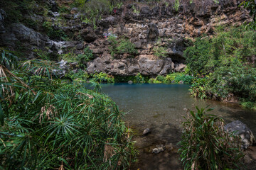 Bassin des Aigrettes