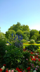 Obraz premium Beautiful public garden. Flowerbed with bright flowers, geranium and begonia. Gardening background. Floral cultivars, selection. Green grass and trees. Summer park. Beauty in nature. Ecology concept.