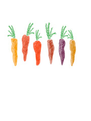 Plenty of multicolor carrots illustrated wallpaper