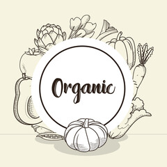 template of organic concept with vegetables around