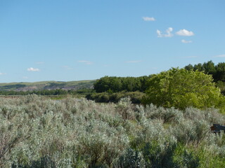 Badlands of southern Alberta 