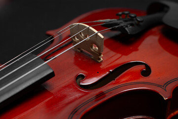 Close view of a classical small violin, strings and bridge over a beige blanket background
