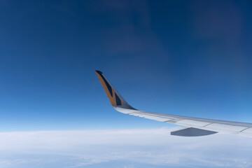 wing of the plane