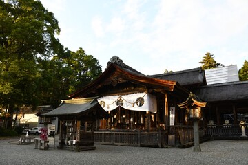 Fototapeta premium 土佐神社