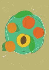 Contemporary fruits art poster in pastel colors with apricot and peach. Design for social media, postcards, print, wall decoration, background template, brochure cover. Tropical. Isolated. Fruits
