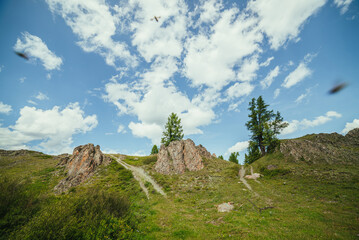 Scenic alpine landscape with crossroads of two dirt roads on hill by rocks under blue sky with clouds. Lucky shot of mountain crossroads with insects. Beautiful scenery with two dirt roads and rocks.