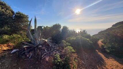 sunset over the mountains