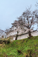 春の横手城の風景