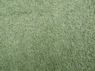 artifical turf texture background.