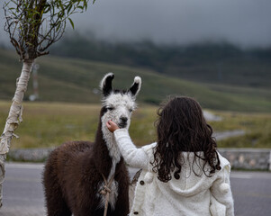 Child whit "llama"