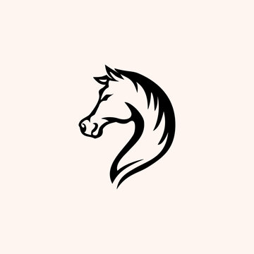 Vector mascot, cartoon of horse, 
Vector illustration icons and logo design elements
