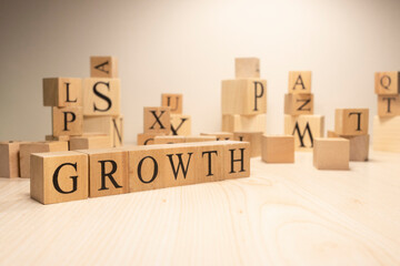 The word growth is from wooden cubes. Economy state government terms.