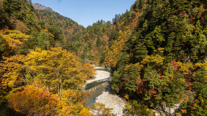 waterfall in autumn