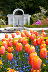 star pond at Butchart Gardens, Victoria, BC