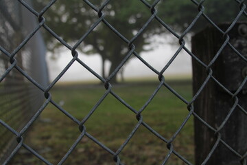 fence and tree