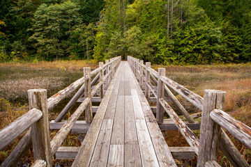 an old wooden foot bridge running over a swampy lake, near Vancouver, British Columbia, Canada