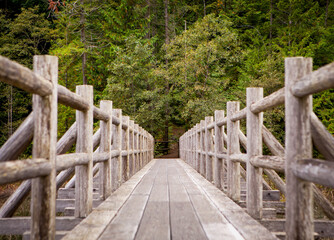 an old wooden foot bridge running over a swampy lake, near Vancouver, British Columbia, Canada