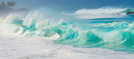 Fototapeten Aqua Wave Waimea, Hawaii, Oahu © HEATHER