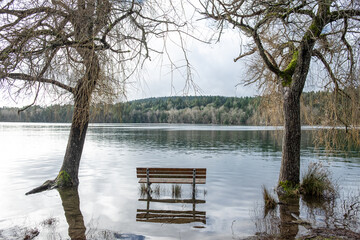 flooded park bench at a tranquil lake, Elk Lake Park, Victoria, BC, Canada