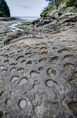 sandstone erosion formations on beach