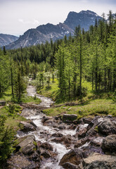 view of the Rocky mountains, near Moraine Lake, AB