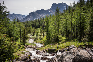 Obraz premium view of the Rocky mountains, near Moraine Lake, AB