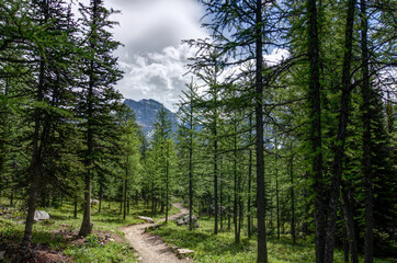 view of the Rocky mountains, near Moraine Lake and Lake Louise, Alberta, Canada