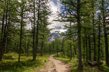 Fototapeta premium view of the Rocky mountains, near Moraine Lake and Lake Louise, Alberta, Canada