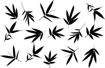 Bamboo leaf composition in design. Vector romantic landscape with bamboo trees on a white and gray background, and various attractive colors make an exclusive design
