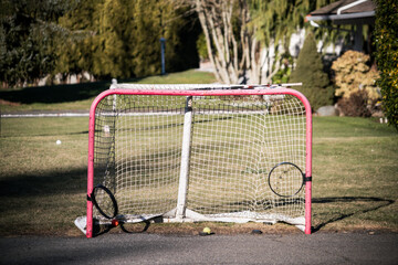 battered hockey net on a suburban driveway